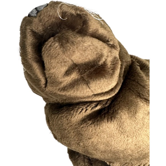 Rare Folkmanis Folktails Sea Lion Hand Puppet Full Body 18" Realistic Plush 18” - Picture 8 of 16